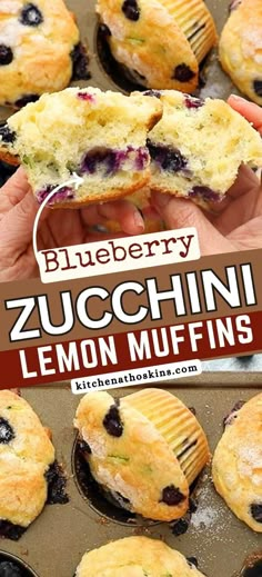 blueberry zucchini lemon muffins in a muffin tin with the title overlay