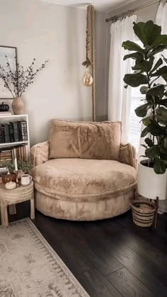 a living room filled with furniture and a large potted plant