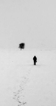 a lone person walking through the snow towards a tree