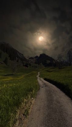 a full moon is seen over a rural road in the distance, with grass and trees on either side