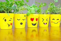 four potted plants with faces painted on them sitting in front of each other,