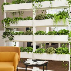 a living room filled with lots of green plants