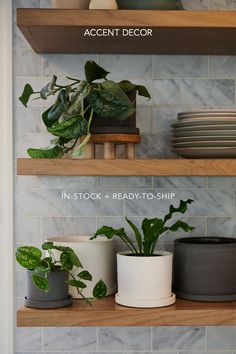 three shelves with plants and plates on them