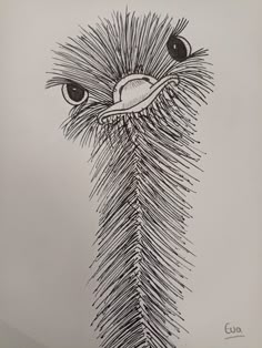 a drawing of an ostrich's head with eyes and long, thin hair