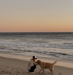 a woman kneeling down next to a dog on top of a sandy beach near the ocean