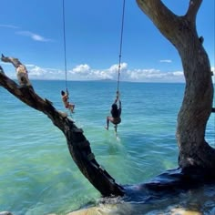 two people are swinging from swings in the water near a tree that has fallen over