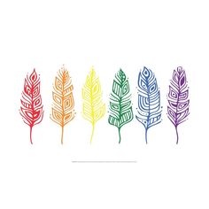 four different colored feathers on a white background with the words, i love you written in it