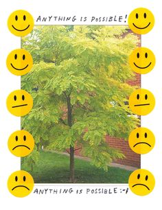 there are many yellow smiley faces in front of a tree with the words anything is possible