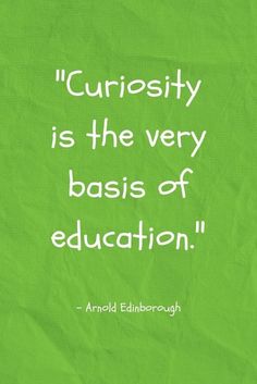 a quote on curiosity is the very basis of education