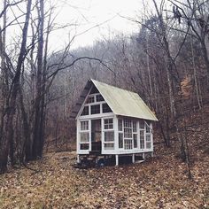 a small white cabin in the middle of some trees and leaves on the ground with no one around it