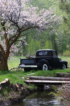 an old black truck parked next to a tree in the grass near a creek and bridge