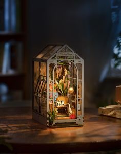 a small glass house with plants inside on a wooden table next to books and other items