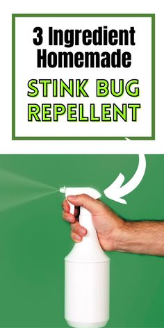 a hand holding a spray bottle with the words 3 ingredient homemade stink bug repellent