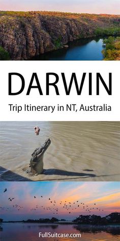 the book cover for darwin trip itinerary in nt, australia