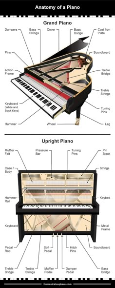 an upright grand piano with its parts labelled