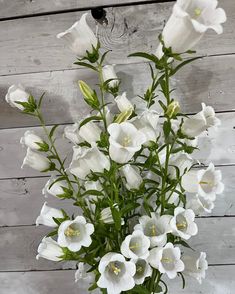 a vase filled with white flowers on top of a wooden table