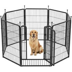 a dog is sitting in an exercise pen