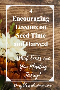 flowers with the words encouraging lessons on seed time and harvest