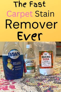 the best carpet stain remover ever is in this post - it - yourself photo