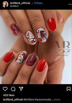 Bird Nails, Winter Bird, Autumn Nails, Winter Nails, Christmas Nails, Nail Art, Nails, On Instagram, Beauty