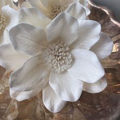 Mystic Moon™ Flower - set of 3 - large luxe flower _sola_wood_flowers Mystic Moon, Flower Subscription, Balsa Wood, Flower Molding, Anemone Flower, Peonies Garden, Wood Flowers, Wooden Flowers, Flower Bag