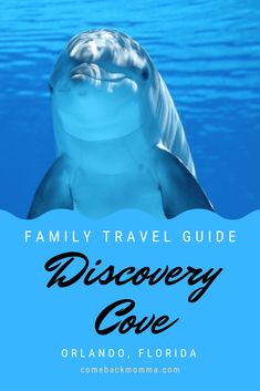 a dolphin swimming in the ocean with text overlay reading family travel guide discovery cove