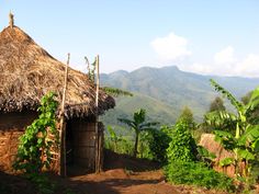 a small hut with a thatched roof in the middle of trees and mountains behind it