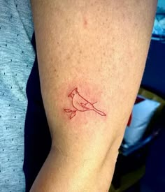 a small red bird tattoo on the right arm and left arm, it's sitting on someone's leg