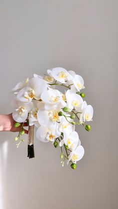 a hand holding a bouquet of white flowers