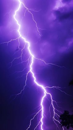 a lightning bolt striking through the sky with purple clouds and trees in the foreground