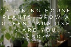 some houseplants are growing in front of a window with the words, 27 winning house plants grow a green paradise - are you ready?