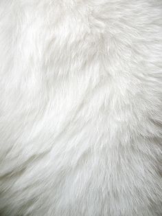 the fur is white and fluffy, but it's not too soft to see