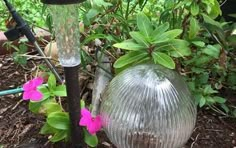 a glass vase sitting on the ground next to a planter with flowers in it