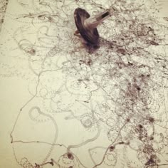 a bird is sitting on the ground in front of a piece of paper that has been drawn onto it