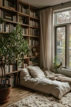 a living room with bookshelves and a couch in front of a large window