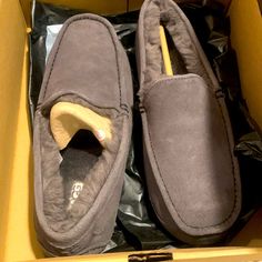 Ugg Ascot Men’s Slippers Gray On Gray Size 10 M Super Comphy And Luxurious. Indoor / Outdoor Ascot Men, Shoes Ugg, Mens Uggs, Mens Slippers, Ugg Shoes, Slip Ons, Loafer Shoes, Indoor Outdoor, Men's Shoes