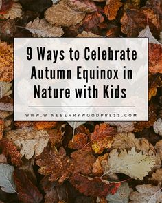 autumn leaves with the words 9 ways to celebrate autumn equinox in nature with kids