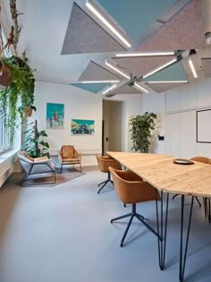 a conference room with wooden tables and chairs, potted plants on either side of the table