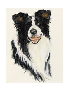 a painting of a black and white dog with his tongue hanging off it's side