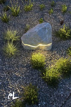 a large rock sitting on top of a gravel field next to grass and bushes at night