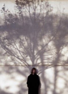 a person standing in front of a tree with their shadow on the wall behind them