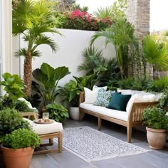 an outdoor living area with potted plants and couches in the middle of it