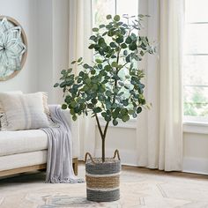 a potted plant sitting on top of a rug in front of a white couch