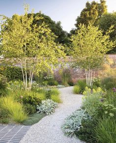 a garden with lots of plants and trees in the back ground, along with gravel path