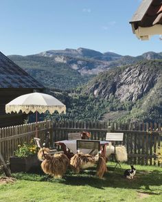 an outdoor table with chairs and umbrellas in front of some mountains on a sunny day