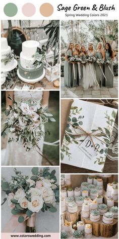 the wedding color scheme for sage green and blush