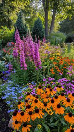 a garden filled with lots of colorful flowers