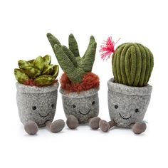 three potted plants with faces drawn on them and one has a cactus in it