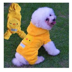 a small white dog wearing a yellow outfit and holding a stuffed animal toy in it's paws