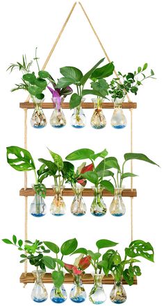 a wooden shelf filled with lots of plants